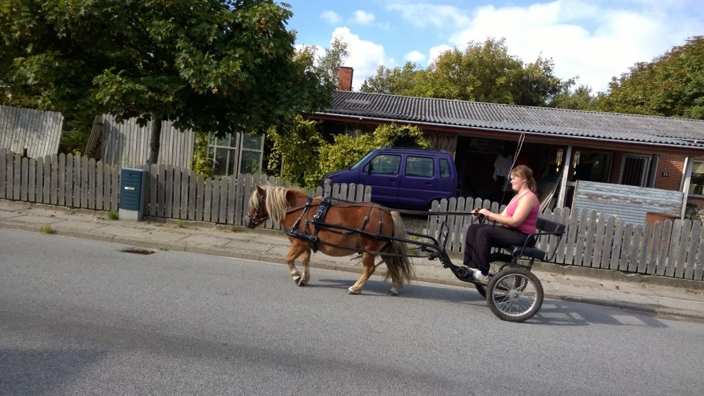 Buster for vogn ned gennem byen.