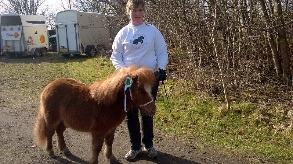 Fernando 1 år til hingsteshow.