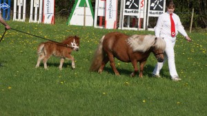 Matilde med Bentley 24 p.